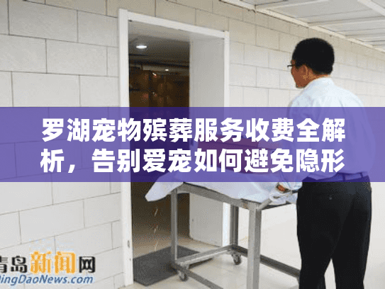 罗湖宠物殡葬服务收费全解析，告别爱宠如何避免隐形消费？