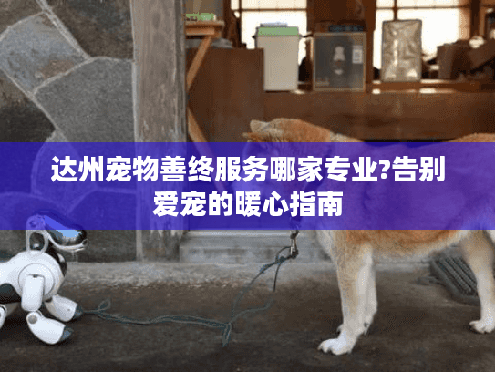 达州宠物善终服务哪家专业?告别爱宠的暖心指南