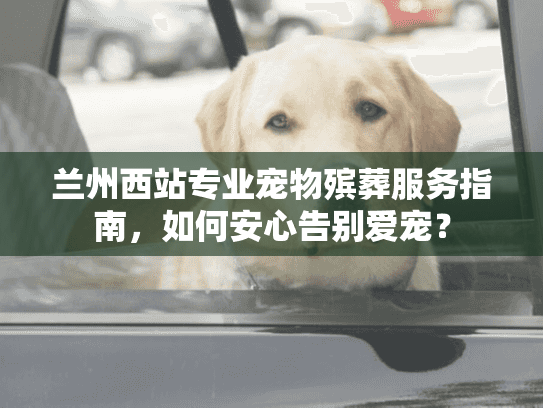 兰州西站专业宠物殡葬服务指南，如何安心告别爱宠？