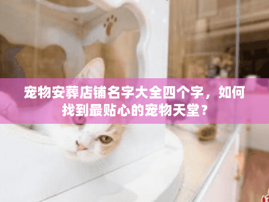 宠物安葬店铺名字大全四个字，如何找到最贴心的宠物天堂？