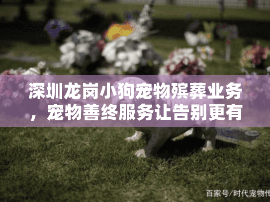 深圳龙岗小狗宠物殡葬业务，宠物善终服务让告别更有温度