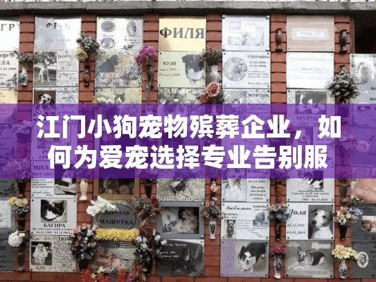 江门小狗宠物殡葬企业，如何为爱宠选择专业告别服务？