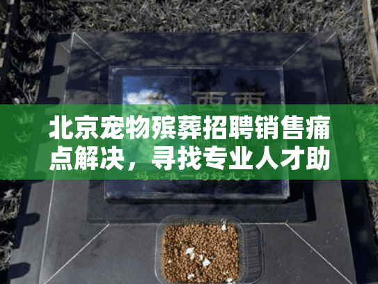 北京宠物殡葬招聘销售痛点解决，寻找专业人才助行业发展