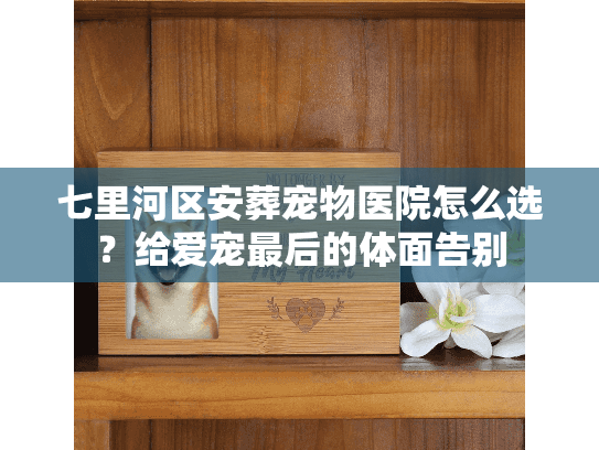 七里河区安葬宠物医院怎么选？给爱宠最后的体面告别