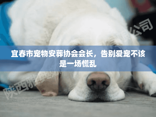 宜春市宠物安葬协会会长，告别爱宠不该是一场慌乱