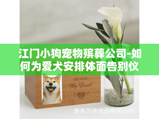 江门小狗宠物殡葬公司-如何为爱犬安排体面告别仪式？