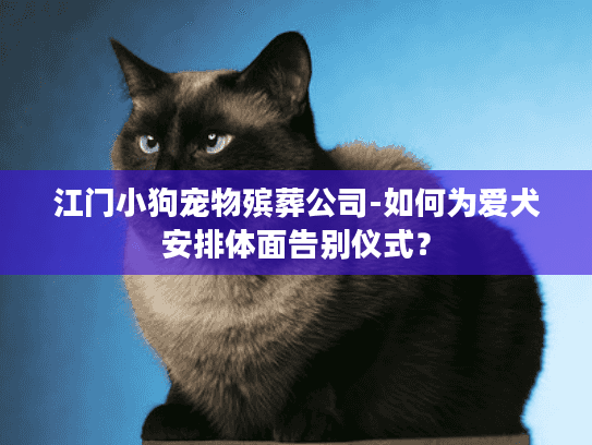 江门小狗宠物殡葬公司-如何为爱犬安排体面告别仪式？
