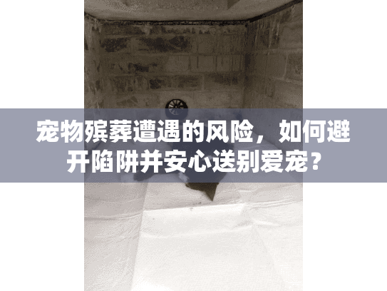 宠物殡葬遭遇的风险，如何避开陷阱并安心送别爱宠？
