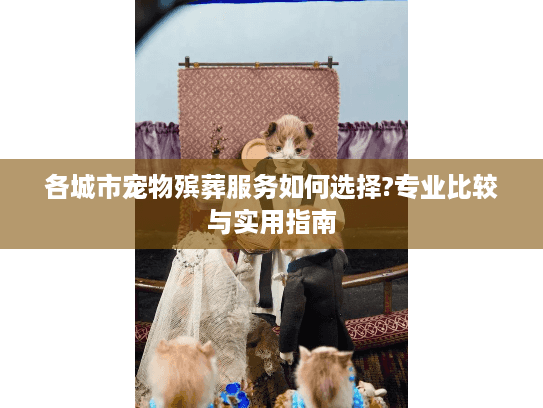 各城市宠物殡葬服务如何选择?专业比较与实用指南