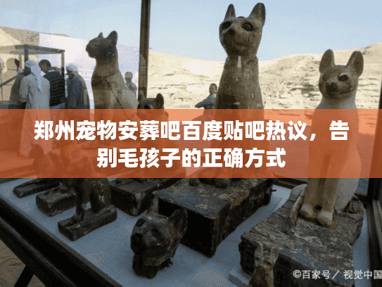 郑州宠物安葬吧百度贴吧热议，告别毛孩子的正确方式