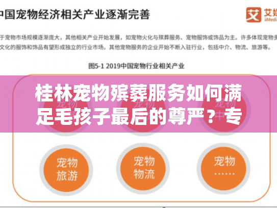 桂林宠物殡葬服务如何满足毛孩子最后的尊严？专业机构告诉你答案