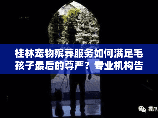 桂林宠物殡葬服务如何满足毛孩子最后的尊严？专业机构告诉你答案