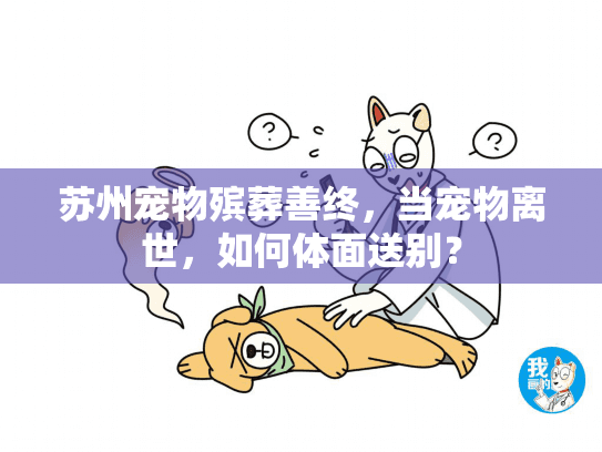 苏州宠物殡葬善终，当宠物离世，如何体面送别？