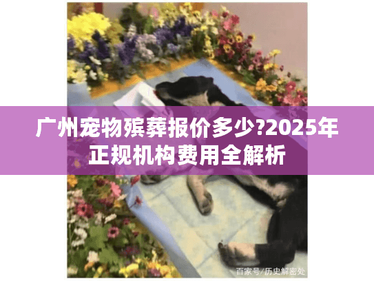 广州宠物殡葬报价多少?2025年正规机构费用全解析