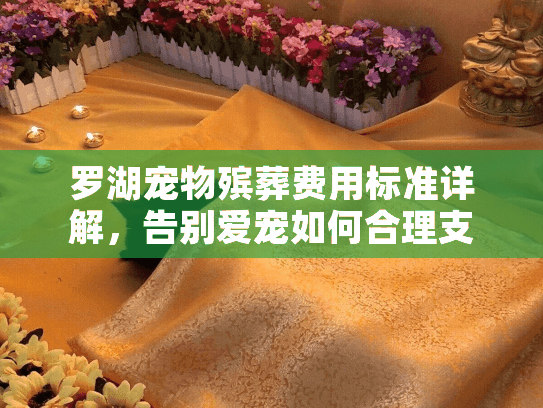 罗湖宠物殡葬费用标准详解，告别爱宠如何合理支出不踩坑