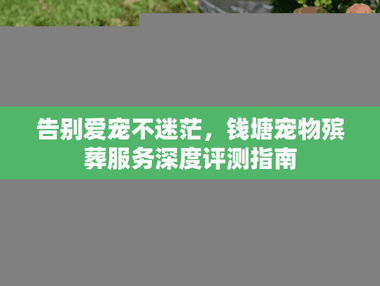 告别爱宠不迷茫，钱塘宠物殡葬服务深度评测指南