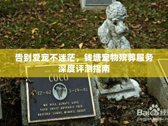 告别爱宠不迷茫，钱塘宠物殡葬服务深度评测指南