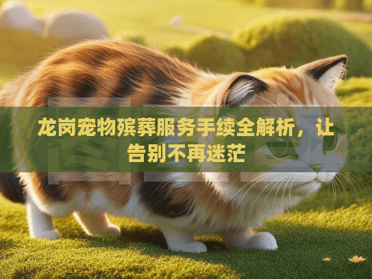 龙岗宠物殡葬服务手续全解析，让告别不再迷茫