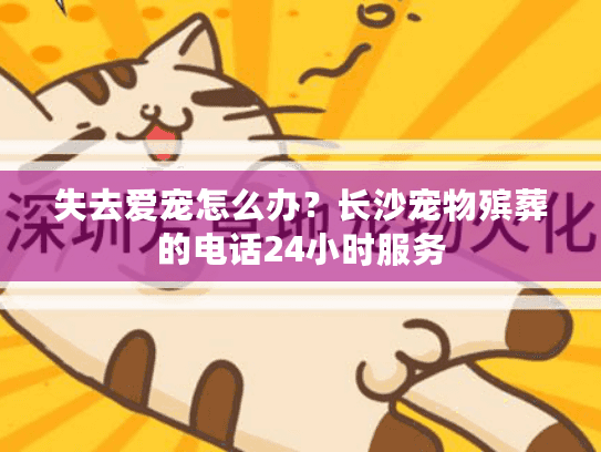 失去爱宠怎么办？长沙宠物殡葬的电话24小时服务