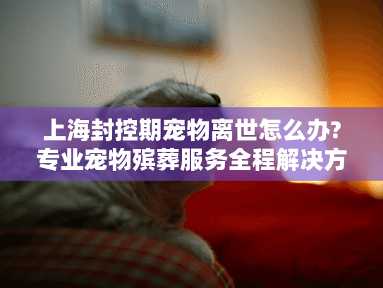 上海封控期宠物离世怎么办?专业宠物殡葬服务全程解决方案