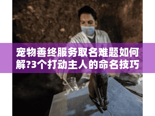 宠物善终服务取名难题如何解?3个打动主人的命名技巧
