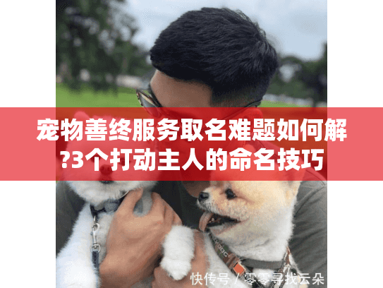 宠物善终服务取名难题如何解?3个打动主人的命名技巧