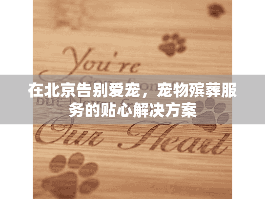 在北京告别爱宠，宠物殡葬服务的贴心解决方案