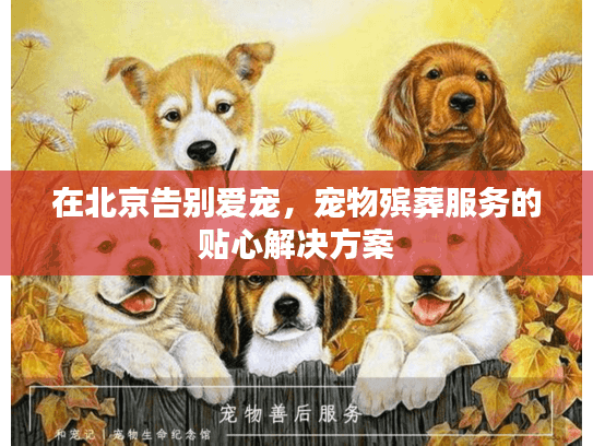 在北京告别爱宠，宠物殡葬服务的贴心解决方案