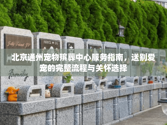 北京通州宠物殡葬中心服务指南，送别爱宠的完整流程与关怀选择