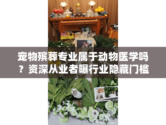 宠物殡葬专业属于动物医学吗?资深从业者曝行业隐藏门槛与核心区别 宠物殡葬专业属于动物医学吗?资深从业者曝行业隐藏门槛与核心区别