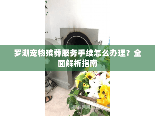 罗湖宠物殡葬服务手续怎么办理？全面解析指南