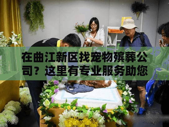 在曲江新区找宠物殡葬公司？这里有专业服务助您告别爱宠