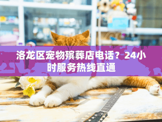 洛龙区宠物殡葬店电话？24小时服务热线直通
