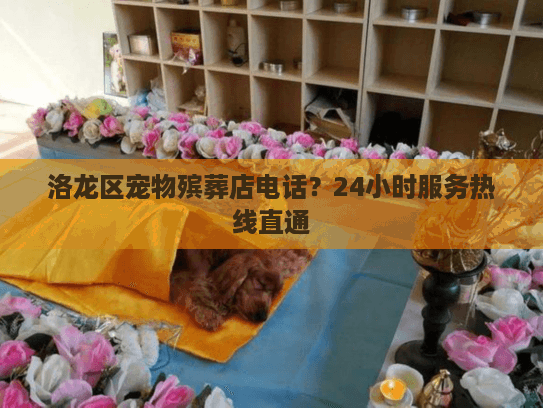 洛龙区宠物殡葬店电话？24小时服务热线直通