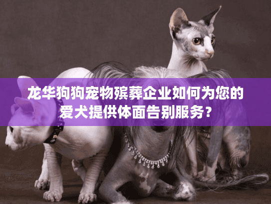 龙华狗狗宠物殡葬企业如何为您的爱犬提供体面告别服务？