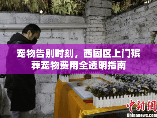 宠物告别时刻，西固区上门殡葬宠物费用全透明指南