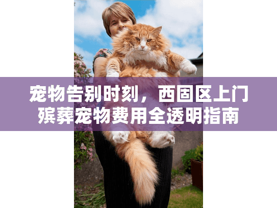 宠物告别时刻，西固区上门殡葬宠物费用全透明指南