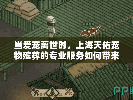 当爱宠离世时，上海天佑宠物殡葬的专业服务如何带来慰藉？