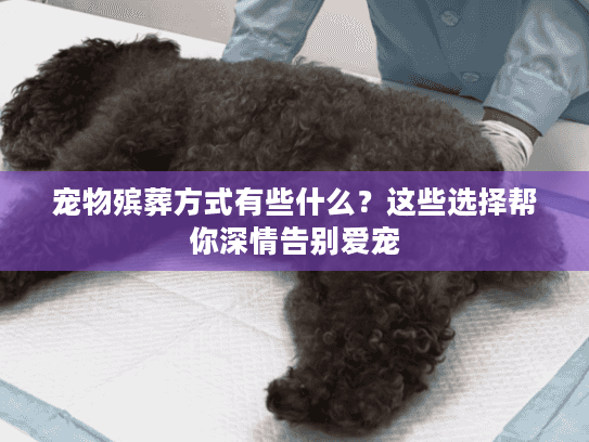 宠物殡葬方式有些什么？这些选择帮你深情告别爱宠