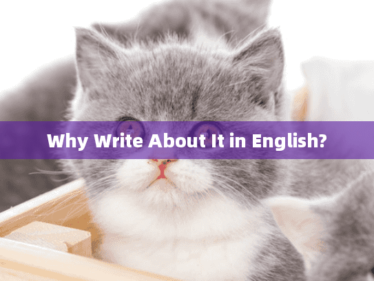 Why Write About It in English?