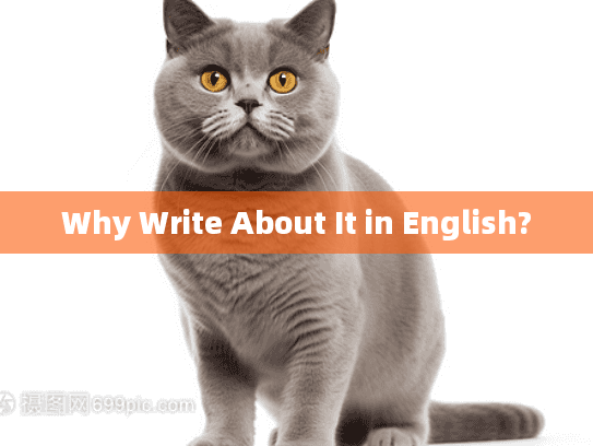 Why Write About It in English?