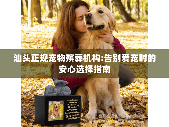 汕头正规宠物殡葬机构:告别爱宠时的安心选择指南