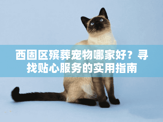 西固区殡葬宠物哪家好？寻找贴心服务的实用指南