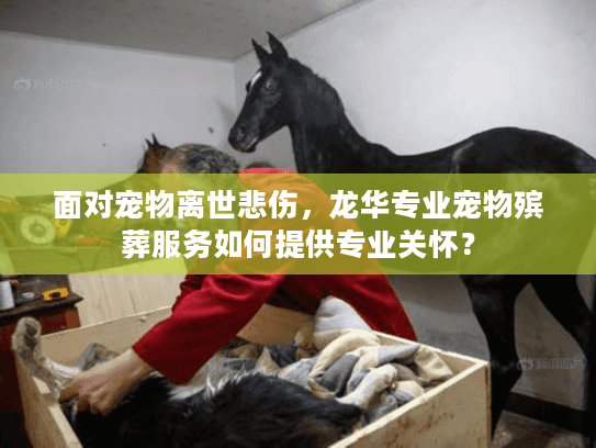 面对宠物离世悲伤，龙华专业宠物殡葬服务如何提供专业关怀？