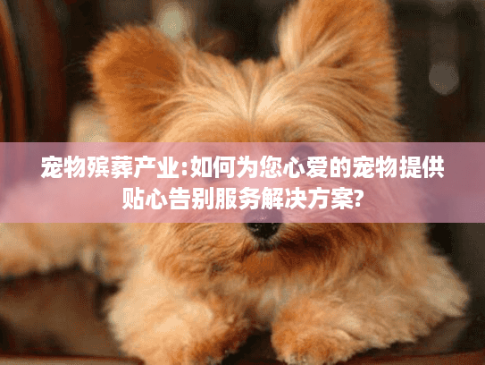 宠物殡葬产业:如何为您心爱的宠物提供贴心告别服务解决方案?