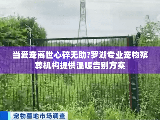 当爱宠离世心碎无助?罗湖专业宠物殡葬机构提供温暖告别方案
