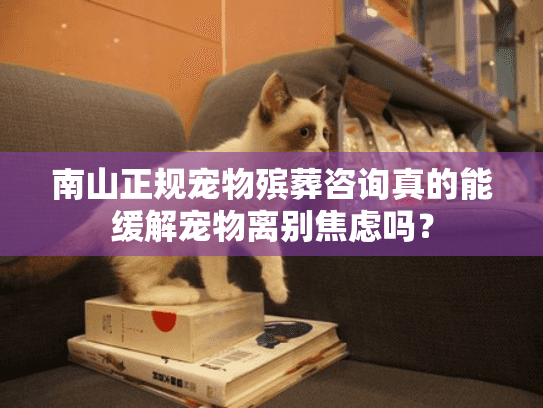 南山正规宠物殡葬咨询真的能缓解宠物离别焦虑吗？