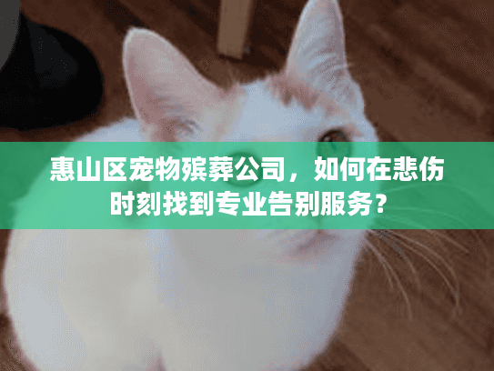 惠山区宠物殡葬公司，如何在悲伤时刻找到专业告别服务？