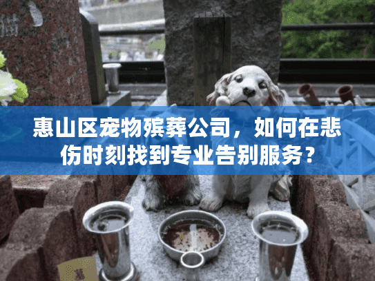 惠山区宠物殡葬公司，如何在悲伤时刻找到专业告别服务？