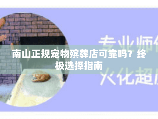 南山正规宠物殡葬店可靠吗？终极选择指南